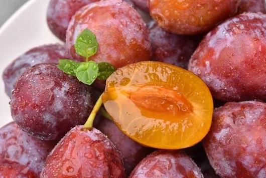 吃多少西梅能促進排便?西梅是熱性還是涼性