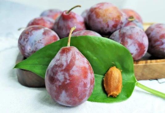 吃多少西梅能促進排便?西梅是熱性還是涼性