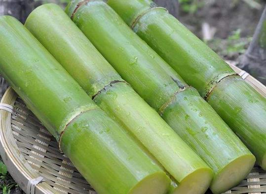 甘蔗上火還是降火?甘蔗一次吃多少合適