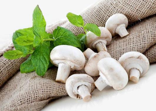 口蘑洗了后能放多久?白色口蘑是漂白的嗎