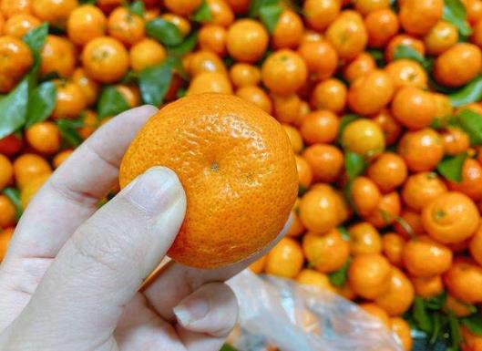 砂糖橘吃多了皮膚會變黃可信嗎?砂糖橘皮可以做陳皮嗎