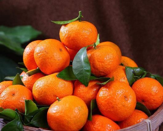 砂糖橘吃多了皮膚會變黃可信嗎?砂糖橘皮可以做陳皮嗎