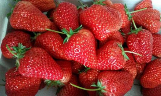 草莓吃不完可以做什么 新鮮草莓可以加熱吃嗎