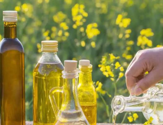 菜籽油的味道怎么去除?為什么菜籽油有股味