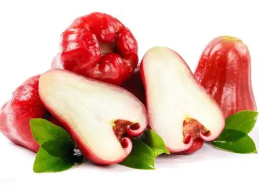 蓮霧和枇杷果哪個止咳化痰好?蓮霧和梨怎么榨汁