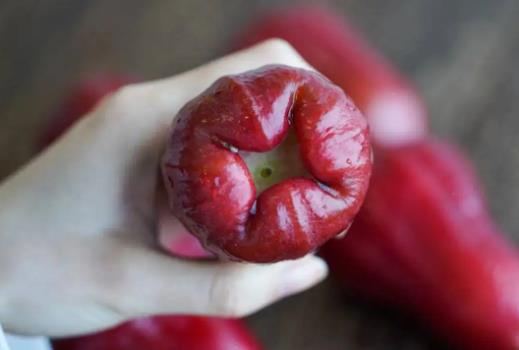 蓮霧凍傷了還能吃嗎?蓮霧冷凍了怎么辦