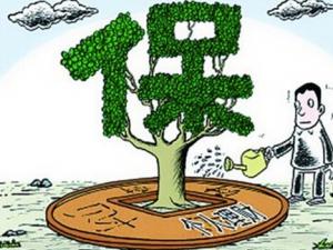 什么是網(wǎng)絡(luò)保險(xiǎn)?網(wǎng)絡(luò)保險(xiǎn)怎么投保?