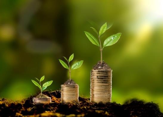 白酒基金虧了死守會回本嗎?基金經理或者公司可能偷吃基金利潤嗎