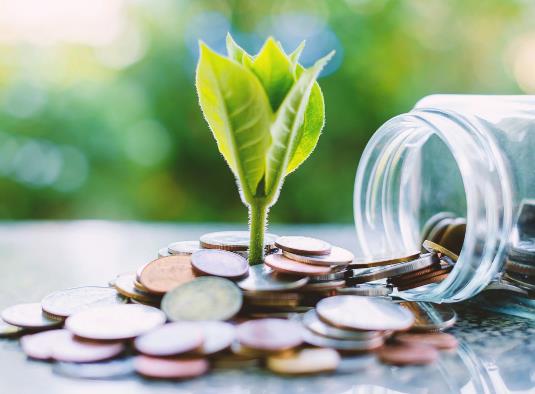 基金確權一般需要多久?買基金是否基金凈值低就比高的好