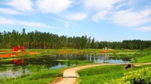 生態農業成了“致富經” 發展生態扶貧產業鏈條帶動農民就業增收