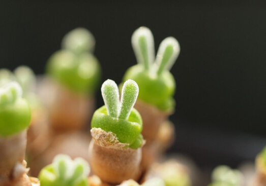 �̹�h�c�Ҿ��L��Ĵ���-�̹�h���Lˮ�W����