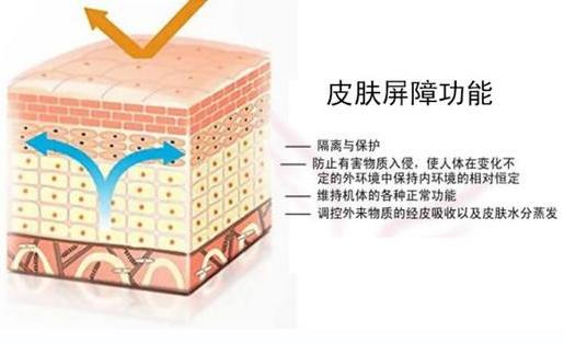 干皮適合什么護(hù)膚品 冬季也要精致護(hù)膚