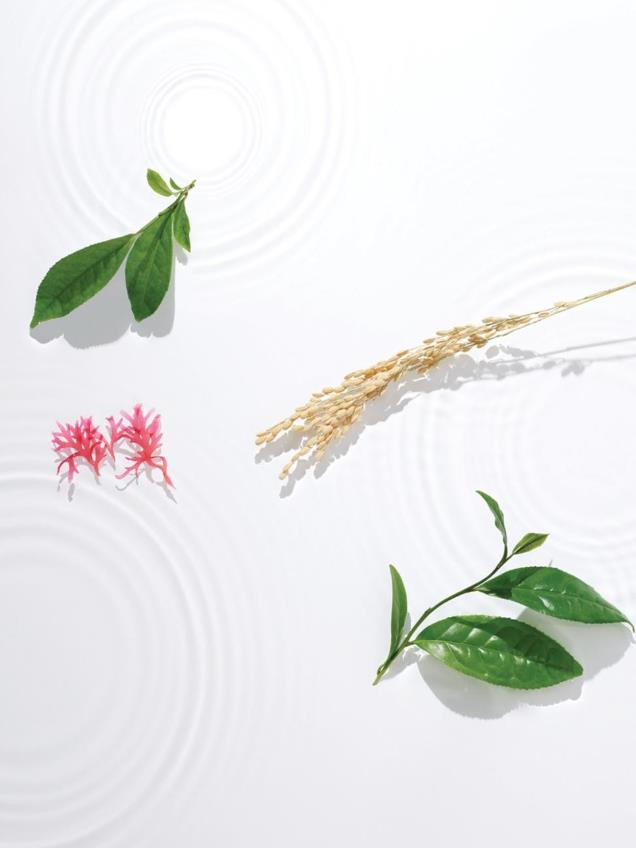 自然與科技雙加持,TATCHA帶你重“愈”美肌