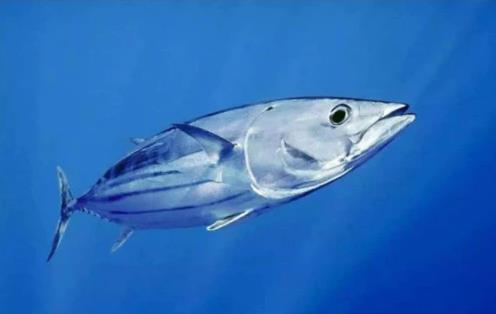 每天吃點Umeken彈力蛋白,母女看起來就像姐妹花!