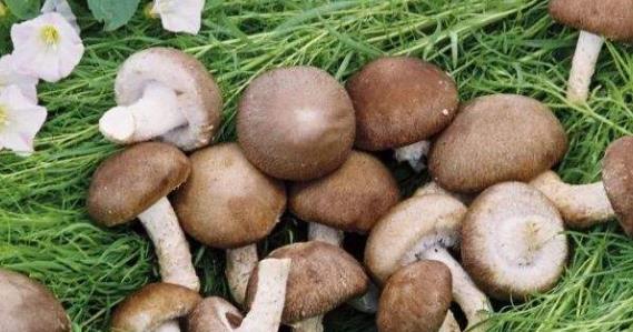 經期也要做好皮膚的護理 經期養顏抗衰老五種食物要記好