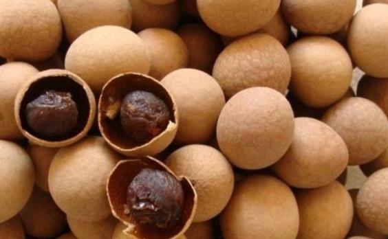 如何保養好自己很關鍵 4種補氣血食物不可少