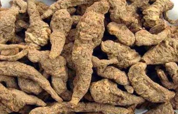 如何保養好自己很關鍵 4種補氣血食物不可少