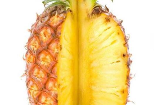 曬傷不再怕 巧用蘆薈來幫您