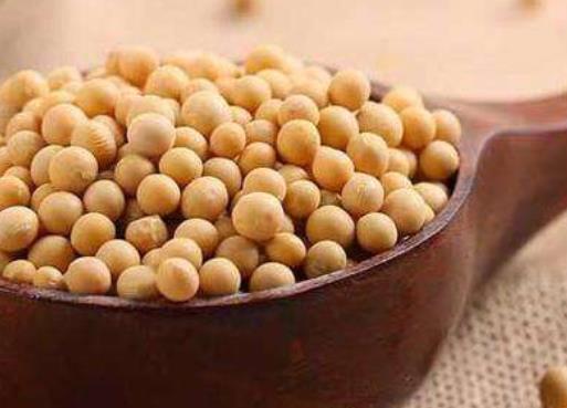 讓女人氣色紅潤的美食 吃沙丁魚對養膚有好處