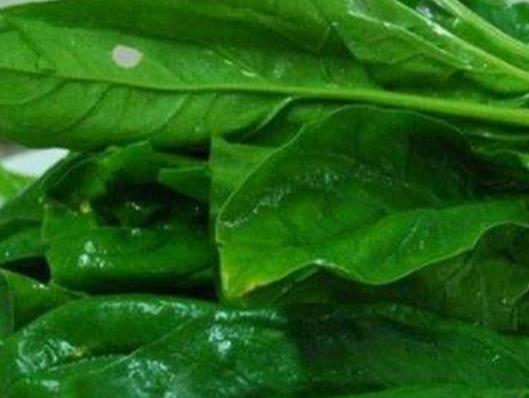 養膚美腿的飲食介紹 最大的擔憂莫過于深裹在冬裝中的雙腿