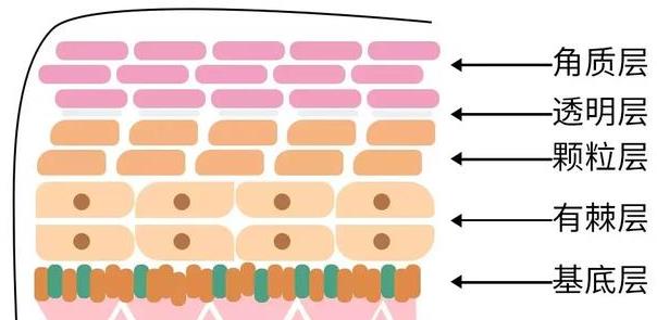 最容易踩到的護膚品使用雷區 如何正確護理皮膚