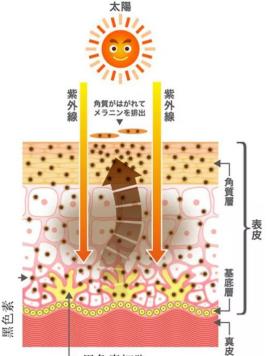 北京伊美爾健翔醫(yī)院:果酸煥膚有危險(xiǎn)嗎