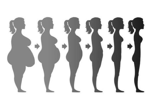 21天減肥法食譜是怎樣的?21天減肥法瘦得明顯嗎?