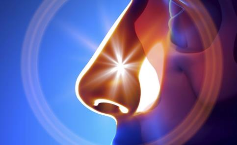 做鼻子整形的材料一覽 墊鼻子會有什么風險 隆鼻十大基本知識