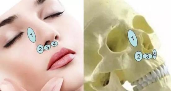 北京伊美爾醫(yī)療醫(yī)院:鼻唇溝是哪里