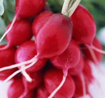 ��ʲôʳ��p���ݵÿ죿��ȫ�����ʳʳ�V���p�ʷ���-�t�}���p��������֭