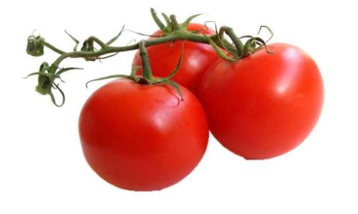 想減肥就吃這些蔬菜 吸脂減肥最快的10種蔬菜