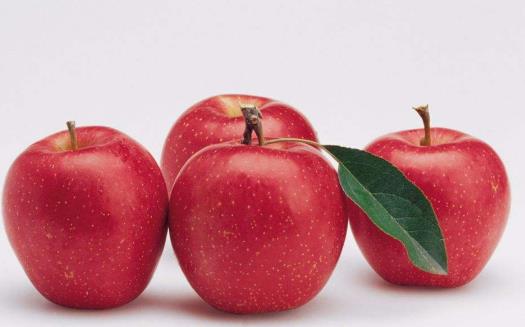 盡情地吃還可以減肥簡直就是福利 10種可以減肥的食物