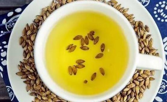 喝大麥茶可以減肥嗎?大麥茶為什么可以減肥?