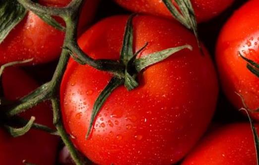 水果晚餐減肥法對水果的選擇 關于晚餐西紅柿減肥法