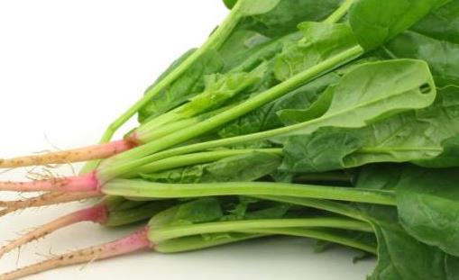 秋季是減肥的黃金季節 適合秋季的減肥方法和飲食