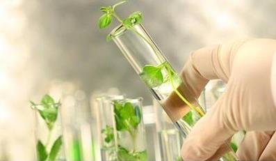 波斯麗爾效果怎么樣?波斯麗爾倍受千萬女性熱捧