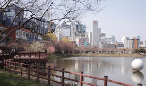 韓國首爾購物攻略,濟州島產綠茶制作而成的VB綠茶片