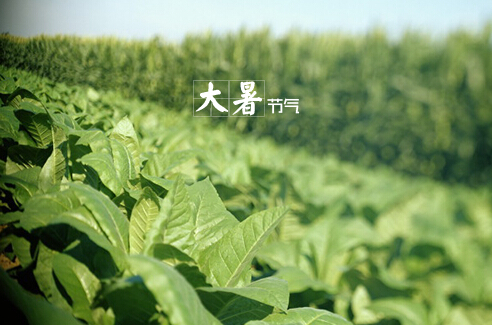 ����ʲô��˼��������ô�A(y��)������