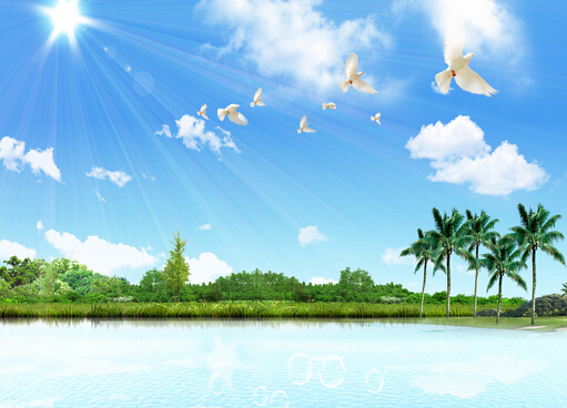 ����İY��-����ȴ�ʩ