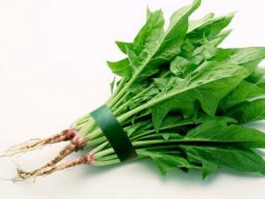 吃菠菜可降低結(jié)腸癌風(fēng)險-菠菜的作用