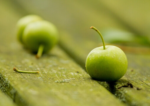 ������ʳ��ˮ�������ӻ����L�U��