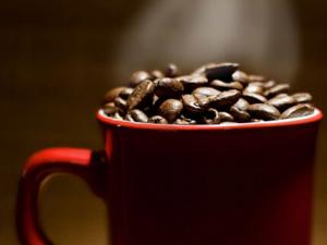 咖啡因與運動結合可抗皮膚癌