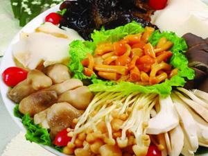 總膽紅素偏高怎么辦?總膽紅素偏高應該吃什么