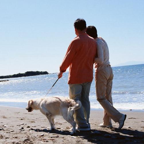 ���������B(y��ng)���������p�_���ж���·���A(y��)���ٲ��p�������Б�(y��ng)�ƌW(xu��)�÷�