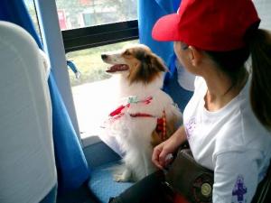 暈車是什么原因？暈車怎么辦？暈車吃什么好