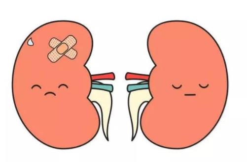 得了腎結石怎么辦?腎結石需要注意什么?患腎結石的原因