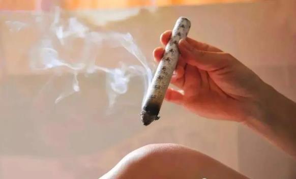 三伏貼和三伏灸,刷爆朋友圈的兩大冬病夏治療法你了解多少?