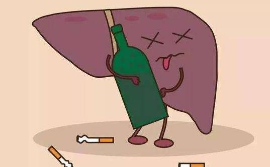 引起酒精肝的原因有哪些?怎么預(yù)防酒精肝?