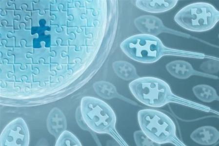 美泰俄試管技術(shù)成功率居海外試管排名前列