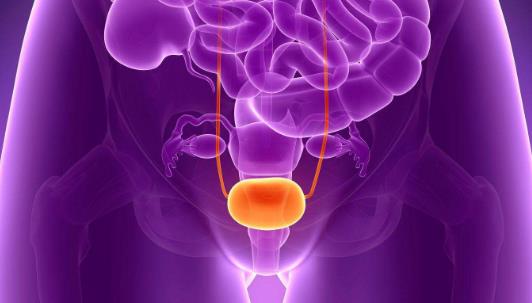 排尿困難會引起哪些并發(fā)癥?排尿困難有哪些危害?